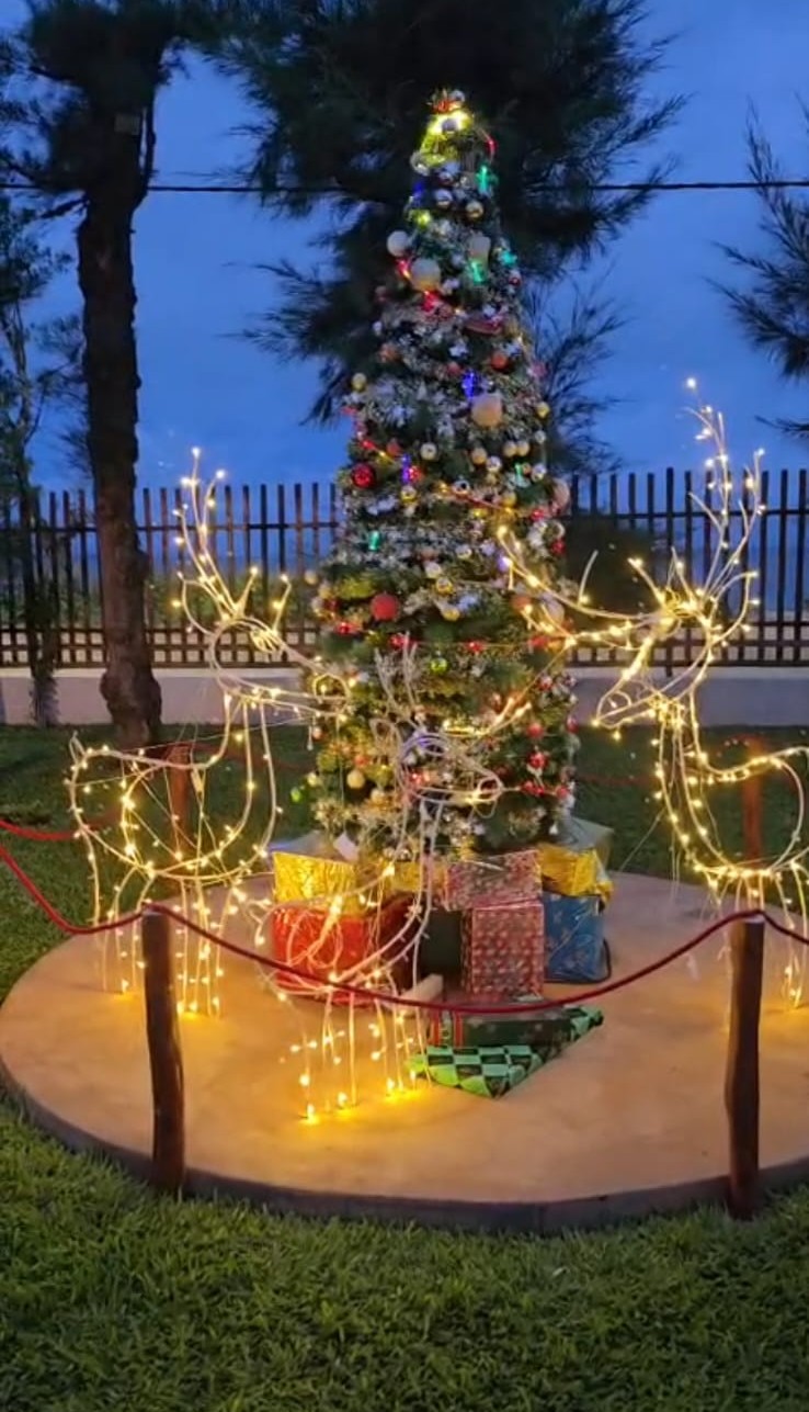 Árvore de Natal decorada